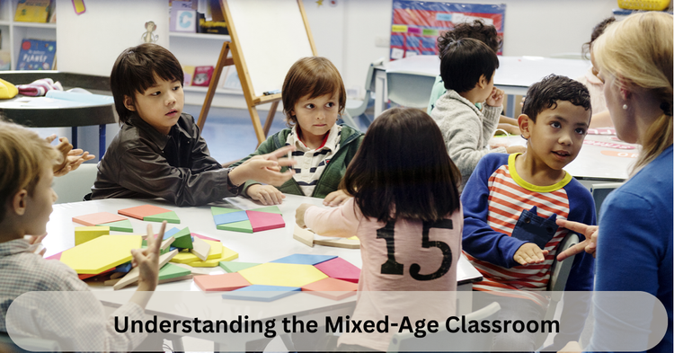 Understanding the Mixed Age Classroom