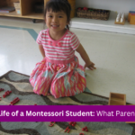 A Day in the Life of a Montessori Student: What Parents Can Expect