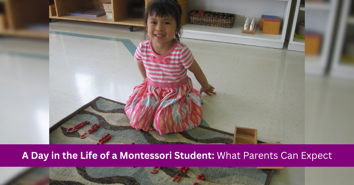 A Day in the Life of a Montessori Student: What Parents Can Expect