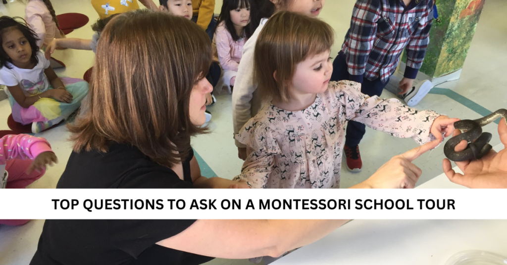 Top Questions to Ask on a Montessori School Tour